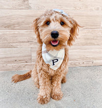 Load image into Gallery viewer, oat milk letterman dog bandana
