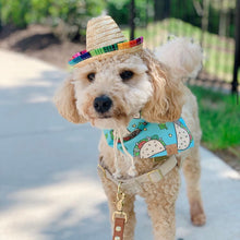 Load image into Gallery viewer, mini sombrero
