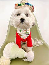 Load image into Gallery viewer, cinco de doggo dog bandana
