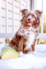 Load image into Gallery viewer, taco tuesday dog bandana

