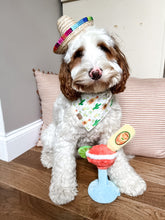 Load image into Gallery viewer, cinco de doggo dog bandana
