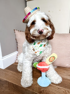 cinco de doggo dog bandana