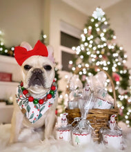 Load image into Gallery viewer, LAST CHANCE! under the mistletoe dog bandana (XS, S, M)
