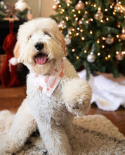 Load image into Gallery viewer, LAST CHANCE! pink christmas dog bandana (XS, S/M)
