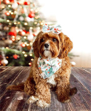 Load image into Gallery viewer, LAST CHANCE! under the mistletoe dog bandana (XS, S, M)
