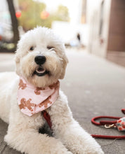 Load image into Gallery viewer, LAST CHANCE! gingerbread jingle dog bandana (XS, S)
