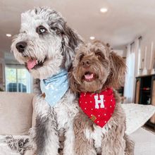 Load image into Gallery viewer, oh my stars letterman dog bandana
