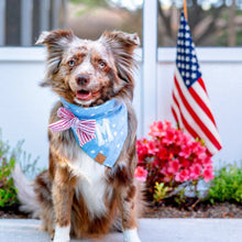 Load image into Gallery viewer, oh my stars letterman dog bandana
