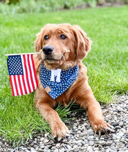 Load image into Gallery viewer, patriotic blue stars letterman dog bandana
