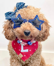 Load image into Gallery viewer, red stars letterman dog bandana
