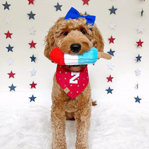 red stars letterman dog bandana
