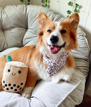 Load image into Gallery viewer, boba milk tea squeaker dog toy
