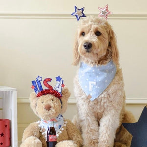 oh my stars letterman dog bandana