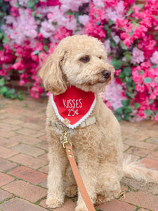 kisses dog bandana