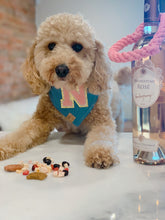 Load image into Gallery viewer, light denim pink varsity sherpa letterman dog bandana (XS, S, S/M, M)
