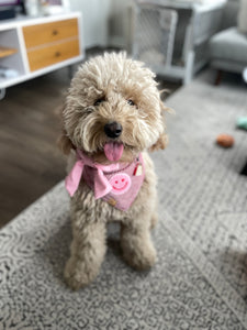 heart eyes for you dog bandana