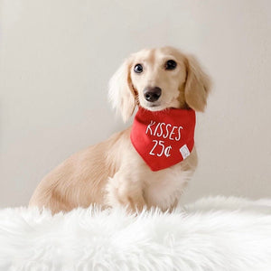kisses dog bandana