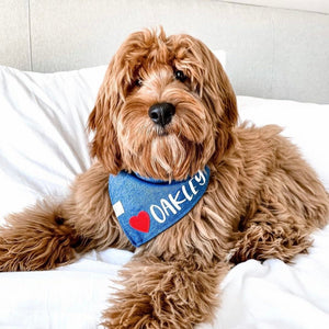 denim hearts personalized dog bandana