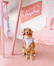 Load image into Gallery viewer, LAST CHANCE! blush palms dog bandana
