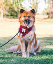 Load image into Gallery viewer, scarlet red letterman bandana
