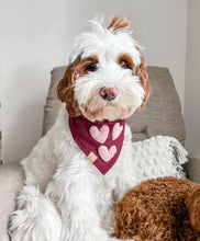 Load image into Gallery viewer, scarlet red letterman bandana
