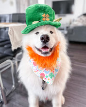 Load image into Gallery viewer, LAST CHANCE! lucky charms dog bandana (XS only)
