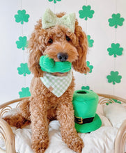 Load image into Gallery viewer, green apple gingham dog bandana
