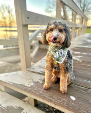 Load image into Gallery viewer, oliver plaid dog bandana
