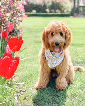 Load image into Gallery viewer, easter poppy dog bandana
