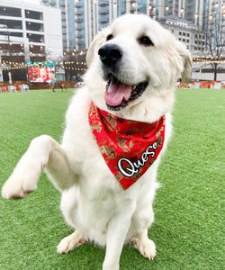 LNY koi fish dog bandana