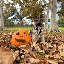 Load image into Gallery viewer, friendly ghosts dog bandana (glow in the dark!)
