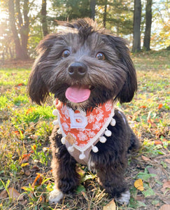autumn's warmth dog bandana