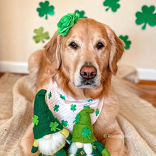 Load image into Gallery viewer, pink clover dog bandana
