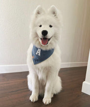 Load image into Gallery viewer, cozy linen letterman dog bandana
