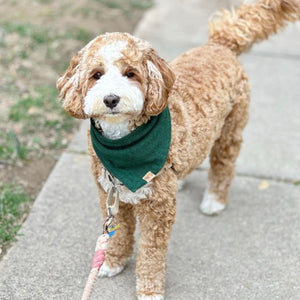 pine green flannel dog bandana