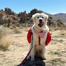 Load image into Gallery viewer, hot stuff dog bandana
