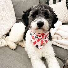 Load image into Gallery viewer, hot stuff dog bandana
