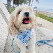 Load image into Gallery viewer, happy hannukah dog bandana
