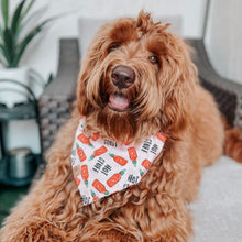 Load image into Gallery viewer, hot stuff dog bandana
