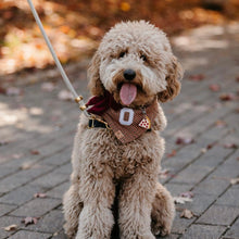 Load image into Gallery viewer, LAST CHANCE! snickerdoodle letterman dog bandana
