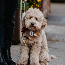 Load image into Gallery viewer, LAST CHANCE! snickerdoodle letterman dog bandana

