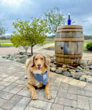 Load image into Gallery viewer, cozy linen letterman dog bandana
