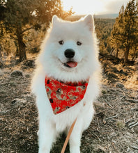 Load image into Gallery viewer, LNY koi fish dog bandana
