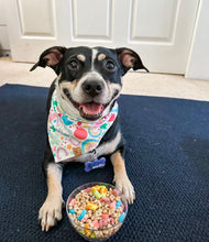 Load image into Gallery viewer, LAST CHANCE! lucky charms dog bandana (XS only)
