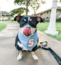 Load image into Gallery viewer, light denim pink varsity sherpa letterman dog bandana (XS, S, S/M, M)
