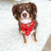 Load image into Gallery viewer, LNY koi fish dog bandana
