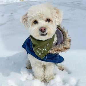 olive green personalized dog bandana
