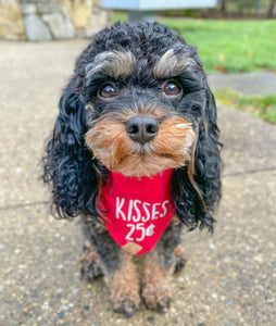 kisses dog bandana