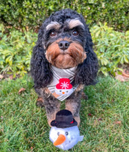Load image into Gallery viewer, LAST CHANCE! ugly sweater asher plaid dog bandana
