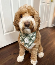 Load image into Gallery viewer, oliver plaid dog bandana
